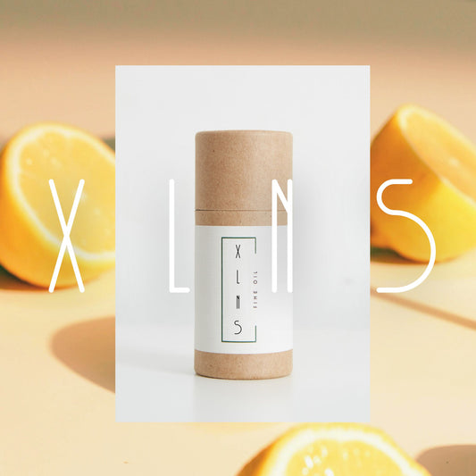 X L N S