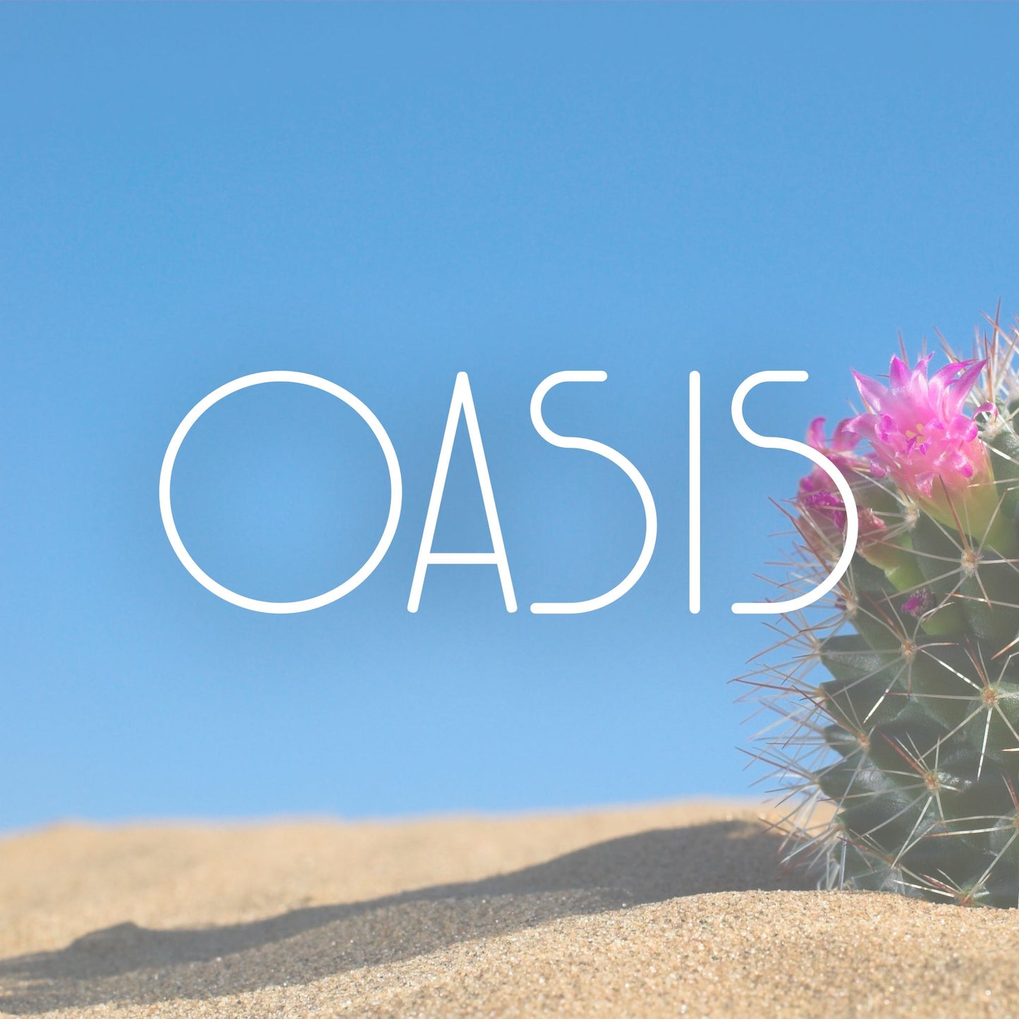 Oasis